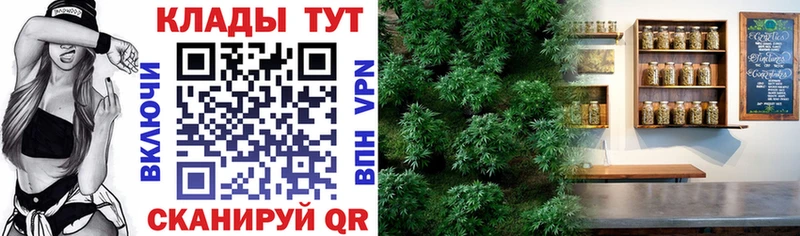 Купить закладку Моздок COCAIN  Марихуана  Мефедрон  Alpha PVP  ГАШИШ 