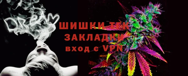 индика Арсеньев