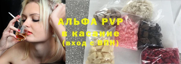 индика Арсеньев