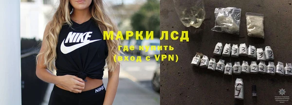 индика Арсеньев