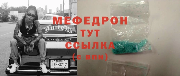 индика Арсеньев