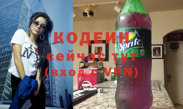 индика Арсеньев