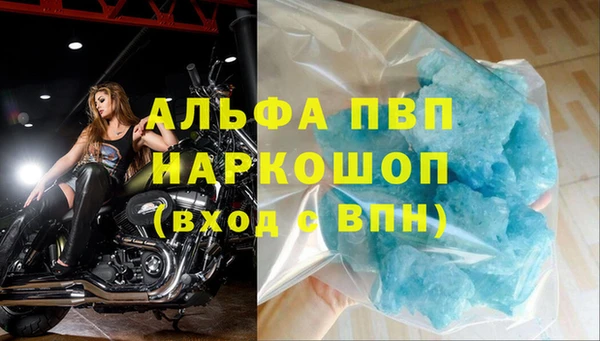 индика Арсеньев