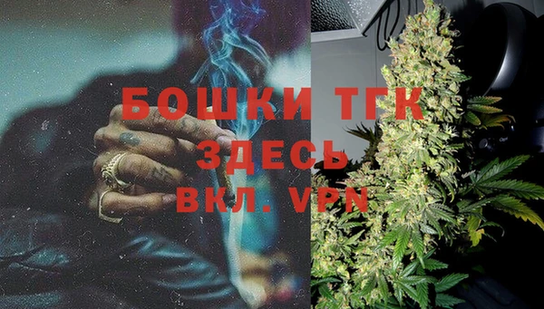 индика Арсеньев