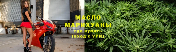 индика Арсеньев