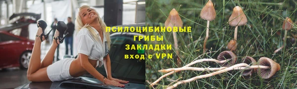 индика Арсеньев