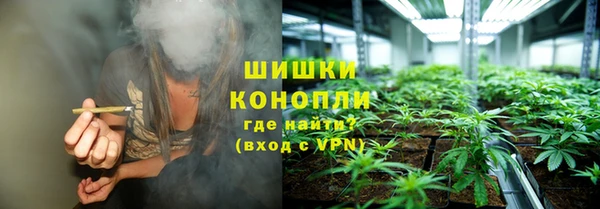 PSILOCYBIN Аркадак