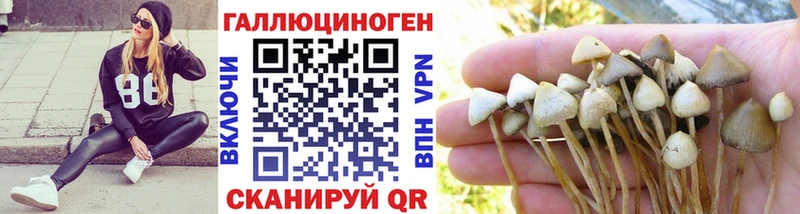 Галлюциногенные грибы мицелий  Моздок 